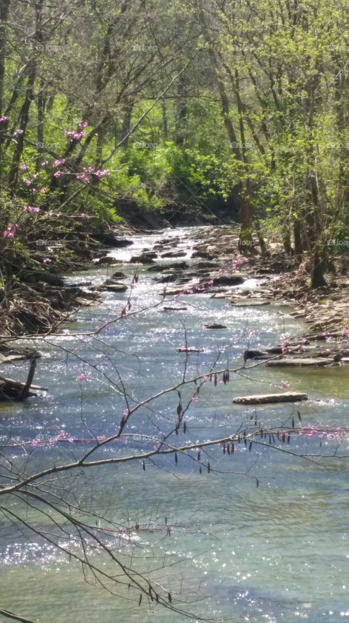 Spring at Ceasar Creek, Ohio 2016