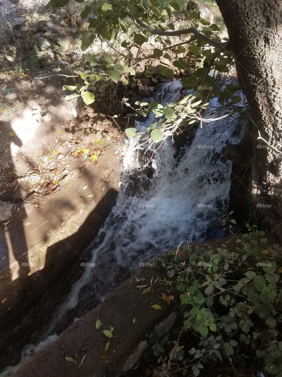 water fall