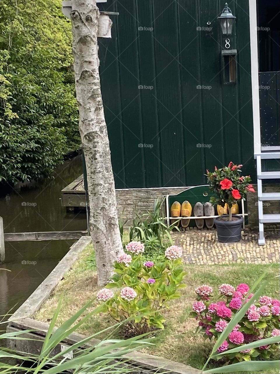 Flowers blooming in a traditional Dutch garden complete with a shoe rack filled with wooden shoes.