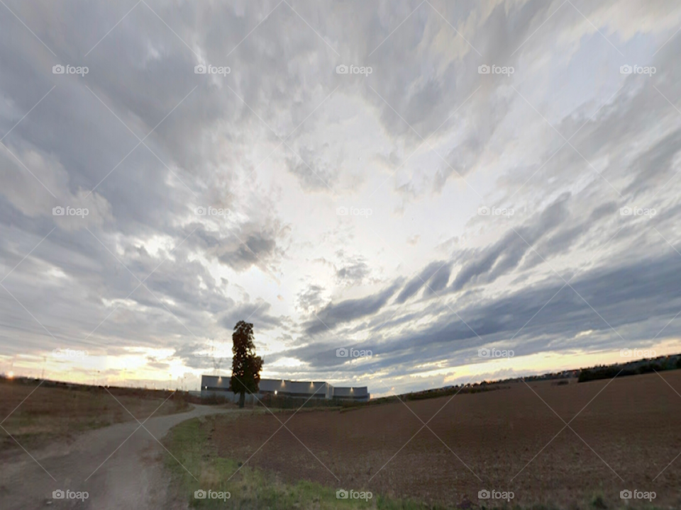 Amazing agricultural fields in France