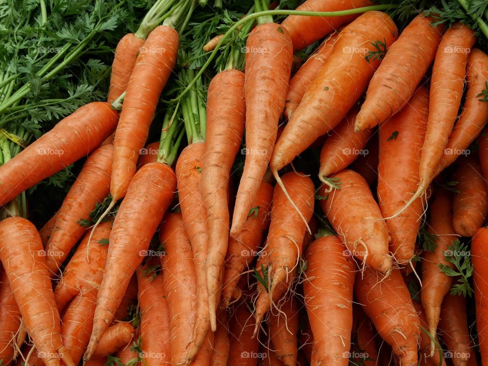 Carrots