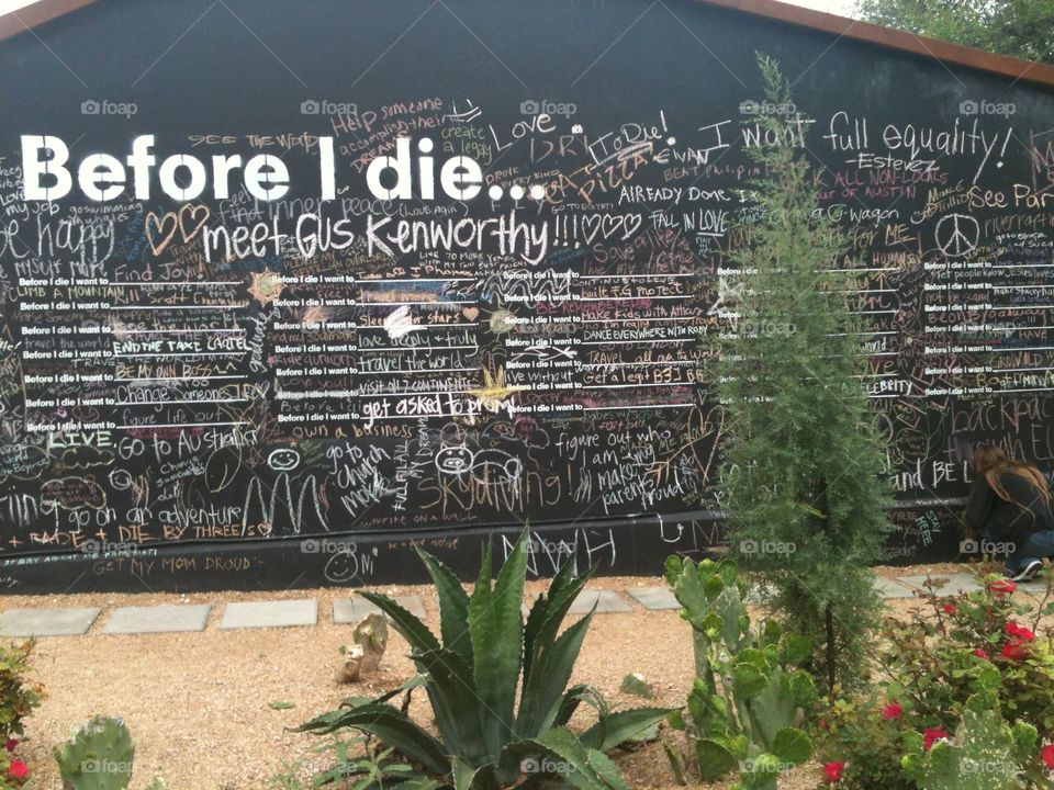 Before I Die I Want To. . . .
