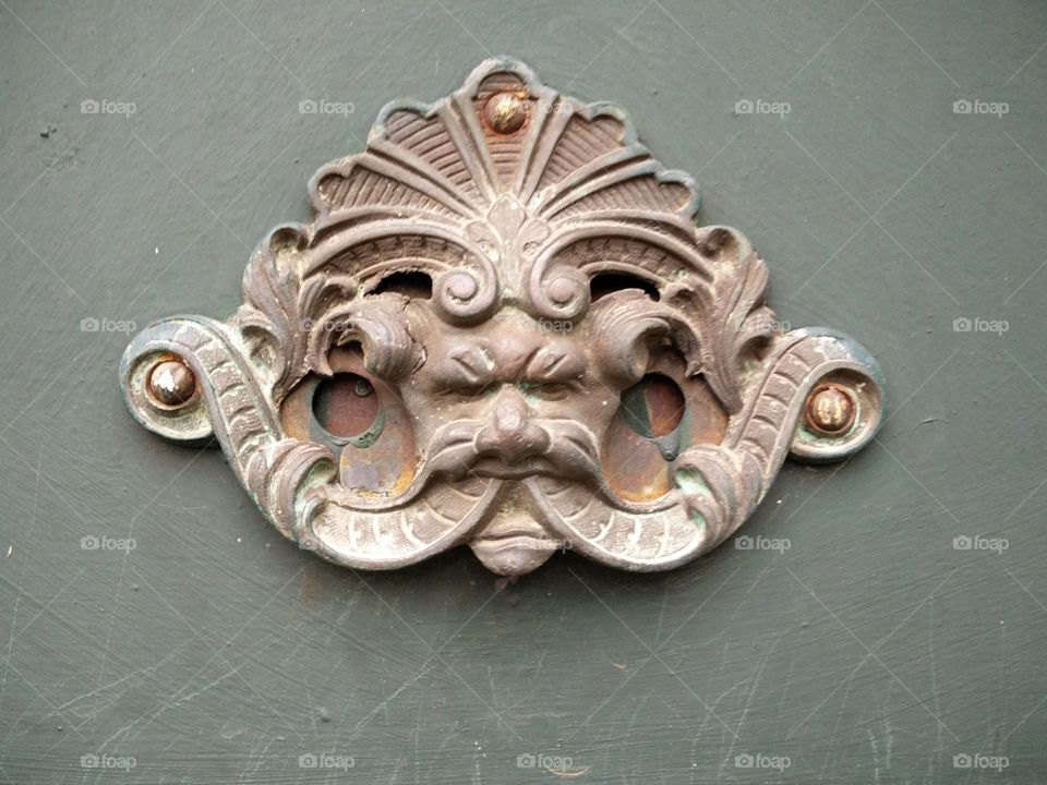 door lion knob