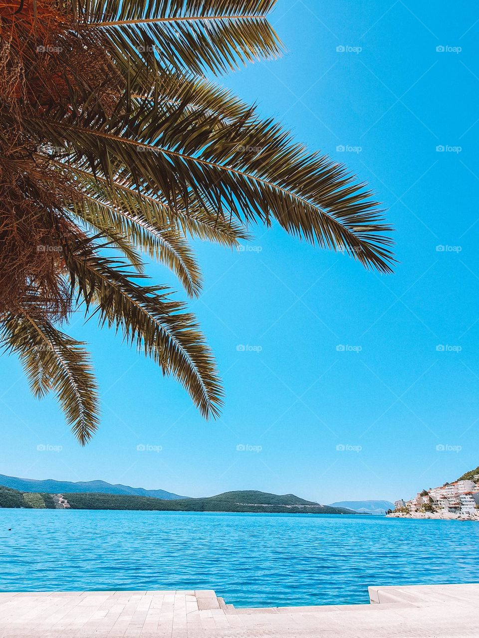 Dare to be different.  Each color in this photo will be experienced differently by each of us.  How beautiful life is.  Is it?