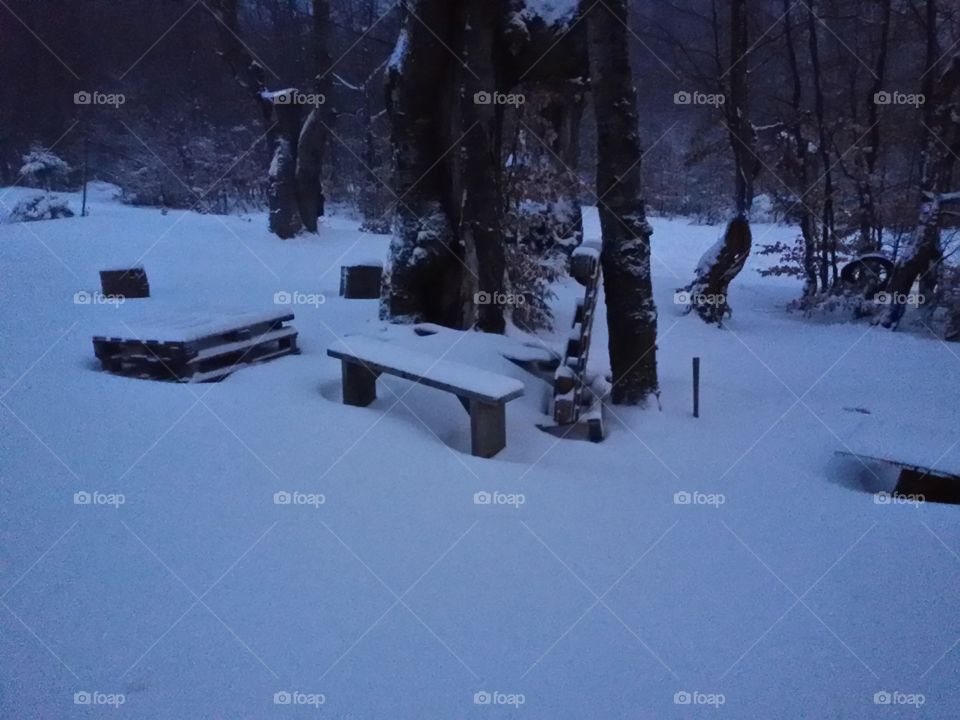 Winter landscape with snow