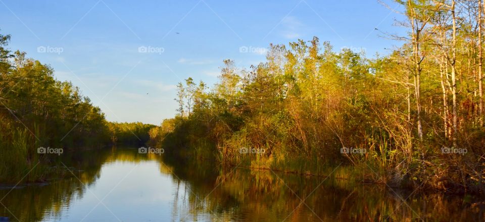 Reflections in the Florida Everglades