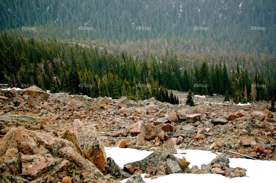 snow trees rocks colorado by refocusphoto