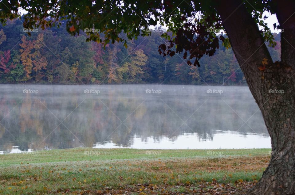 fall at the lake