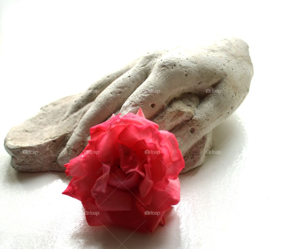 Hand with rose