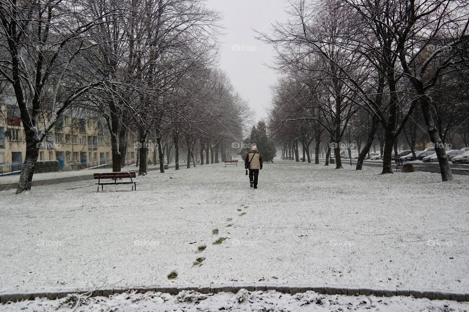 Snowy morning 