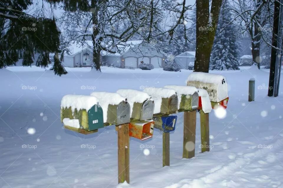 mailboxes in snow