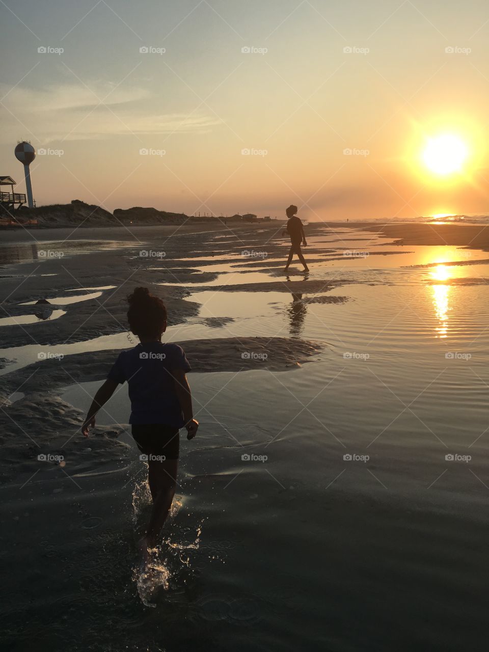 Collecting shark teeth during low tide. 