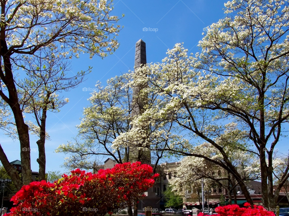 city nature statue trees by wme