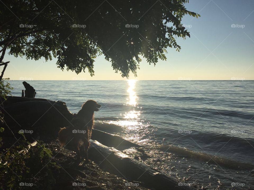 Max at Lake Erie