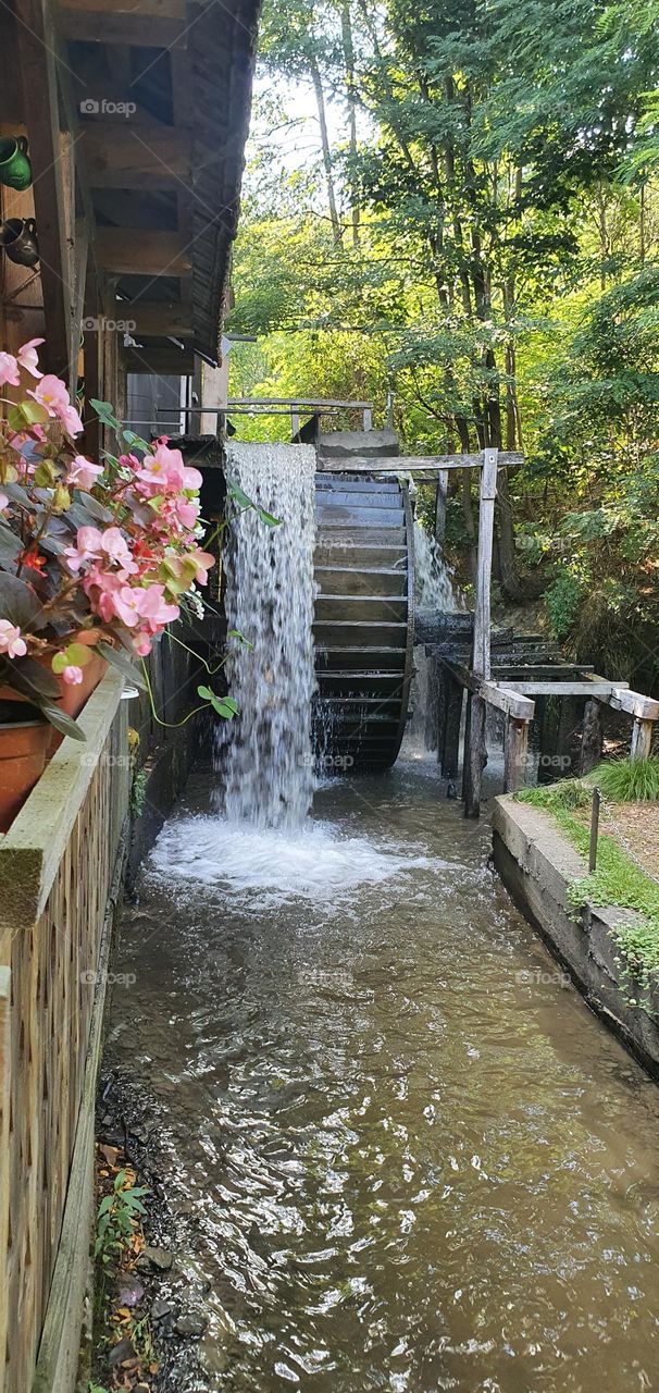 An old water mill in Brasov country