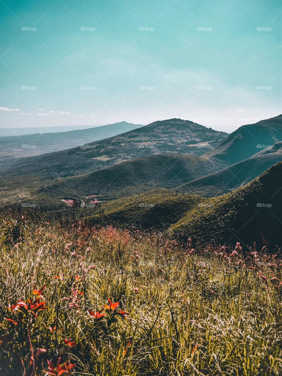 Mountains vs Valleys