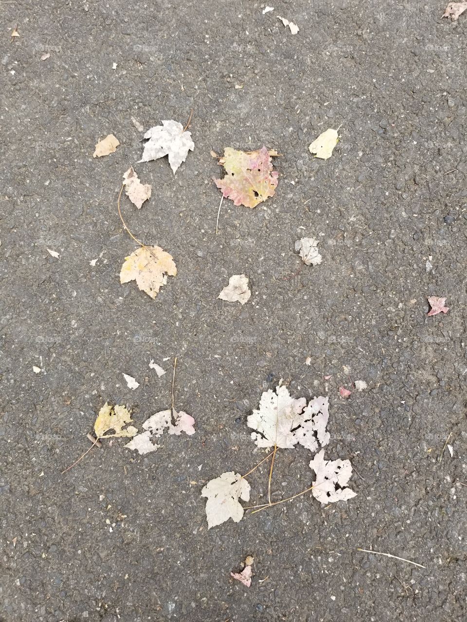 leaves while walking