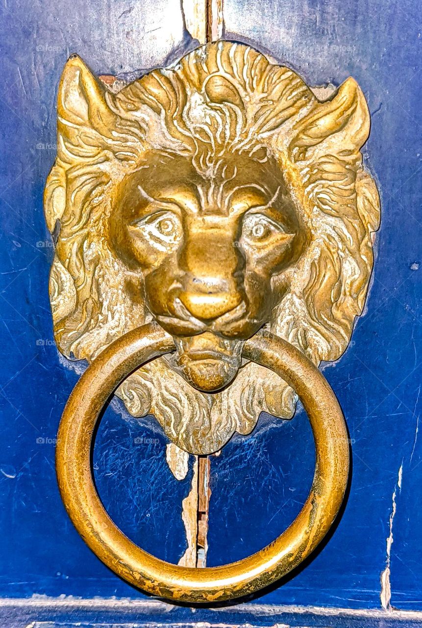 DOOR HANDLE LION SHAPE ##