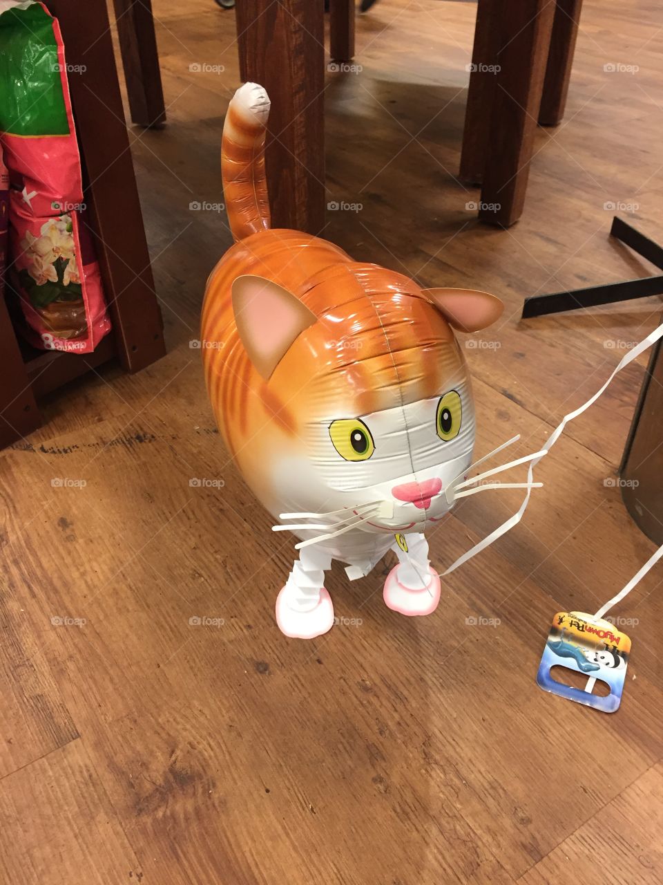 Cat Balloon