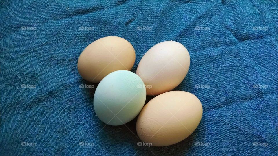 natural egg colors