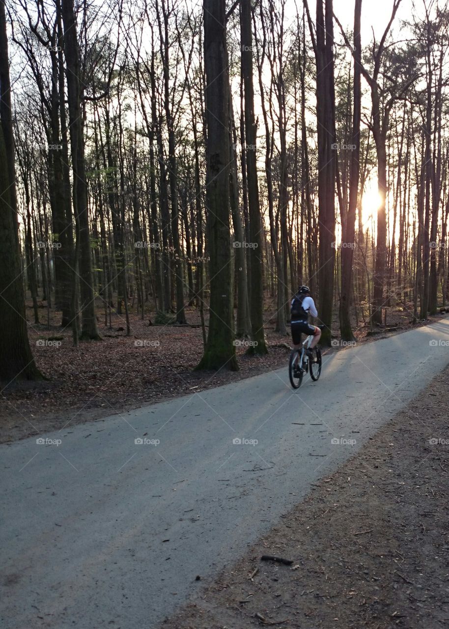 Racing till dawn. Biker racing in the forest till dawn