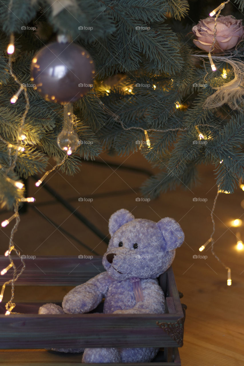 Purple bear near the Christmas trees, decor