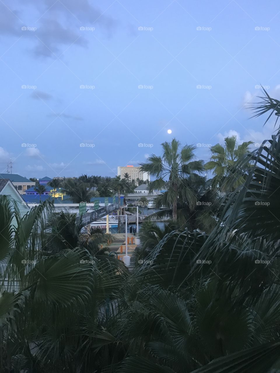 View from our room in the Bahamas 