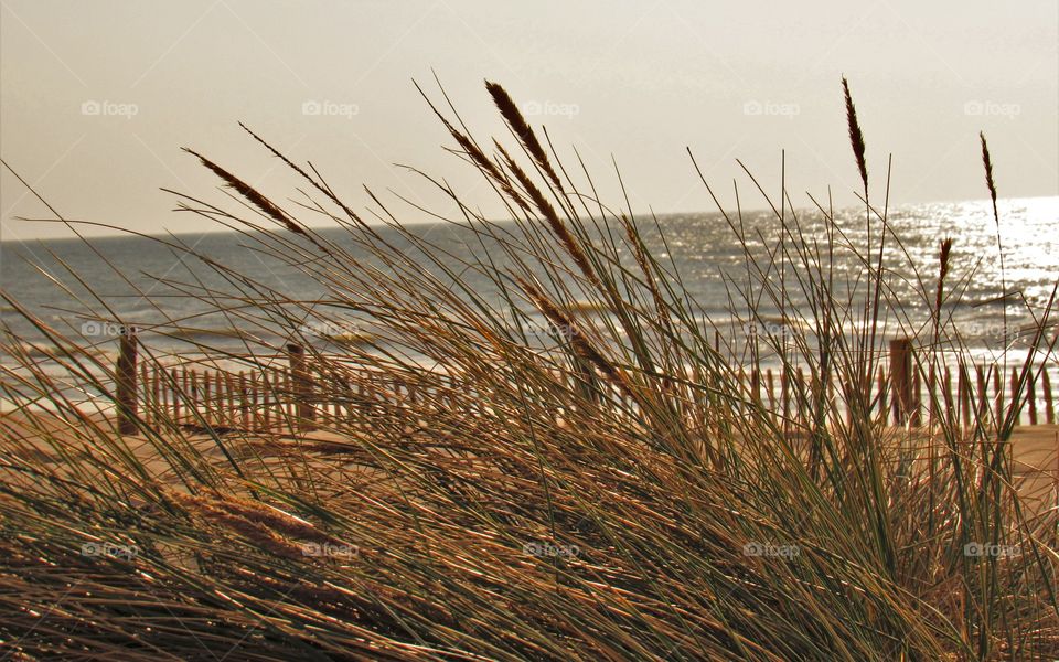 At the seaside