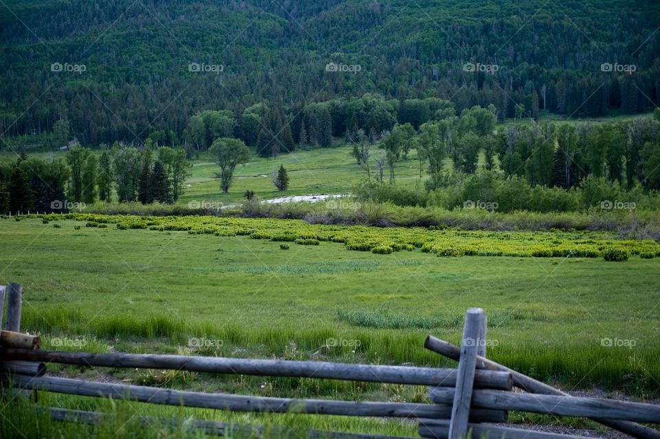 Farm in Colorado USA