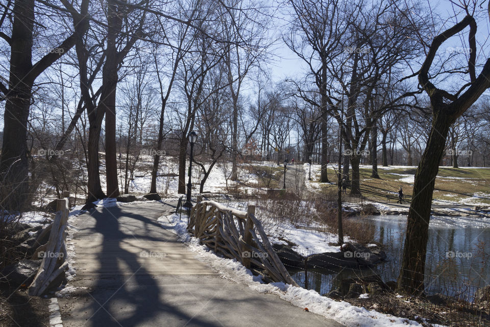 Central Park, New York City, USA.