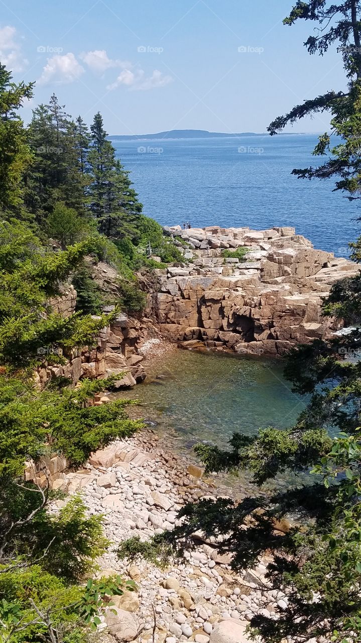 Acadia rocky coast