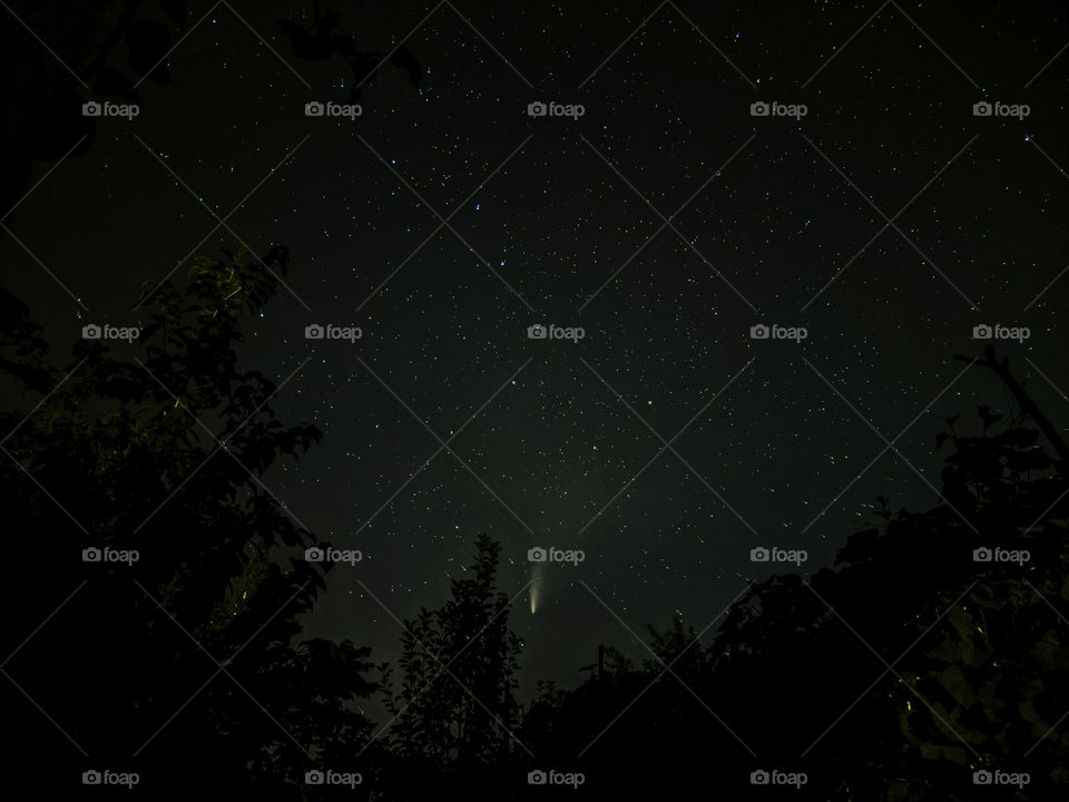 Comet and the constellation URSA Major in the night sky.