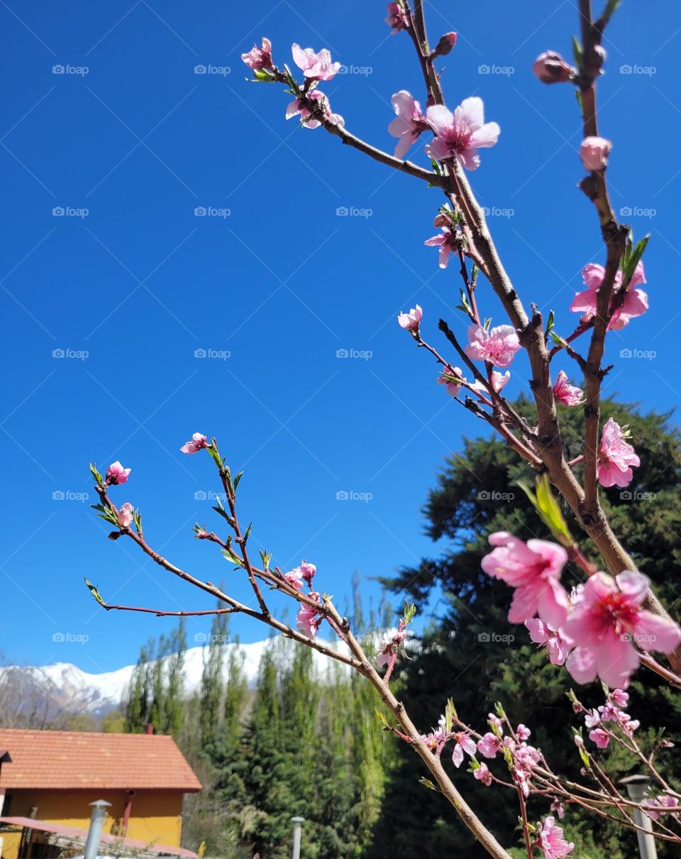 colores de primavera