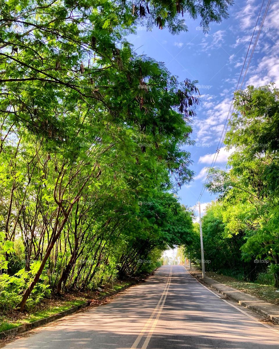 Azul e Verde, cores que nos inspiram. 
Viva a natureza e a sua beleza!
📸
#FOTOGRAFIAéNOSSOhobby
#sky #céu #natureza #horizonte #fotografia #paisagem #landscapes #inspiração #mobgrafia #XôStress #nuvens #clouds #Valinhos