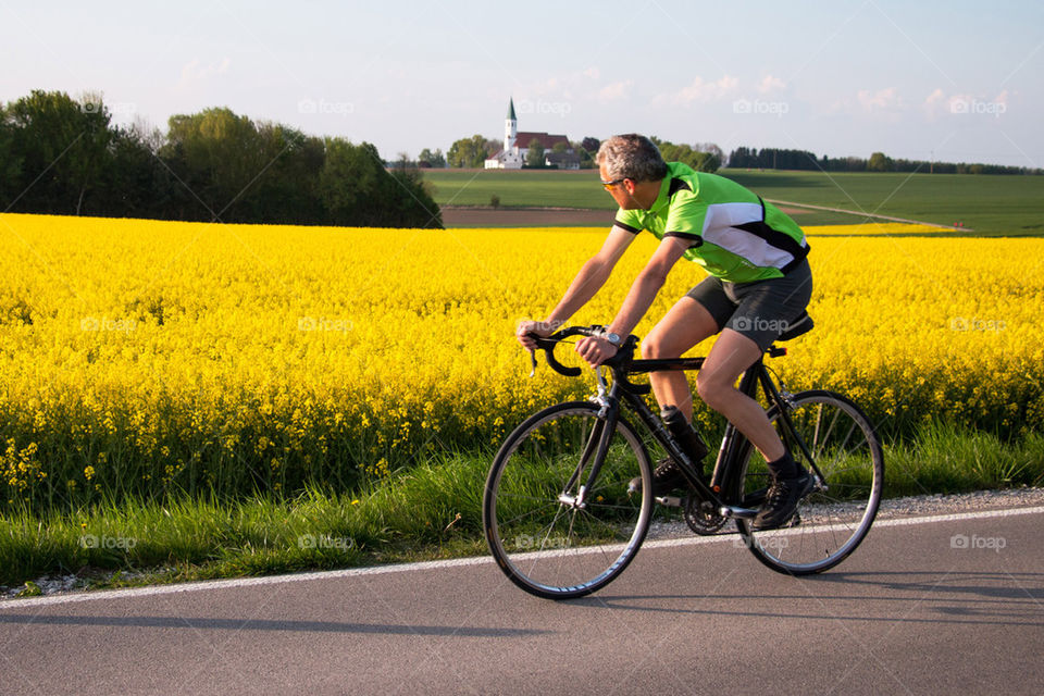 Yellow field of rapeseed flowers