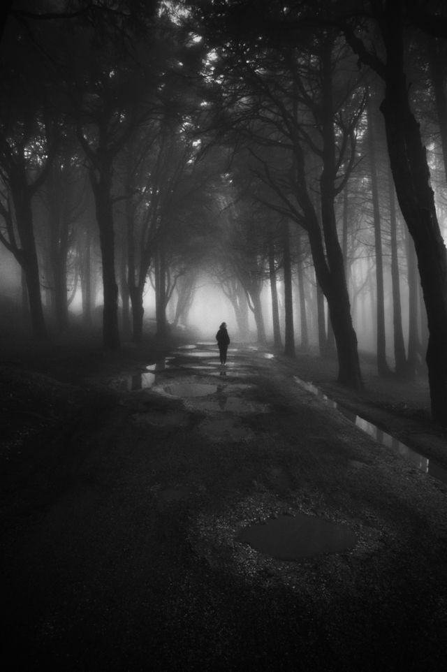 Beauty #nature #blackandwhite