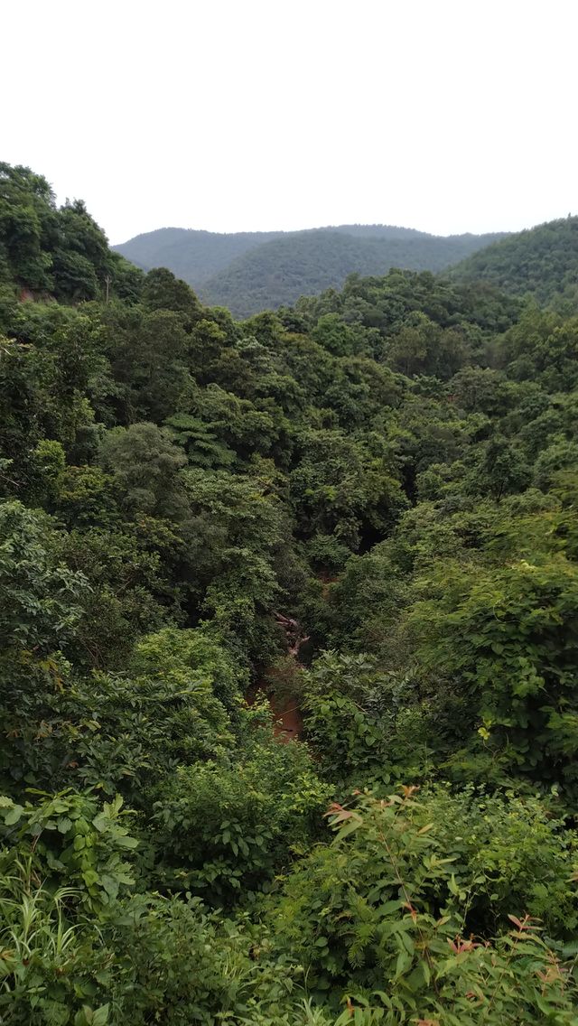 Peaceful wild