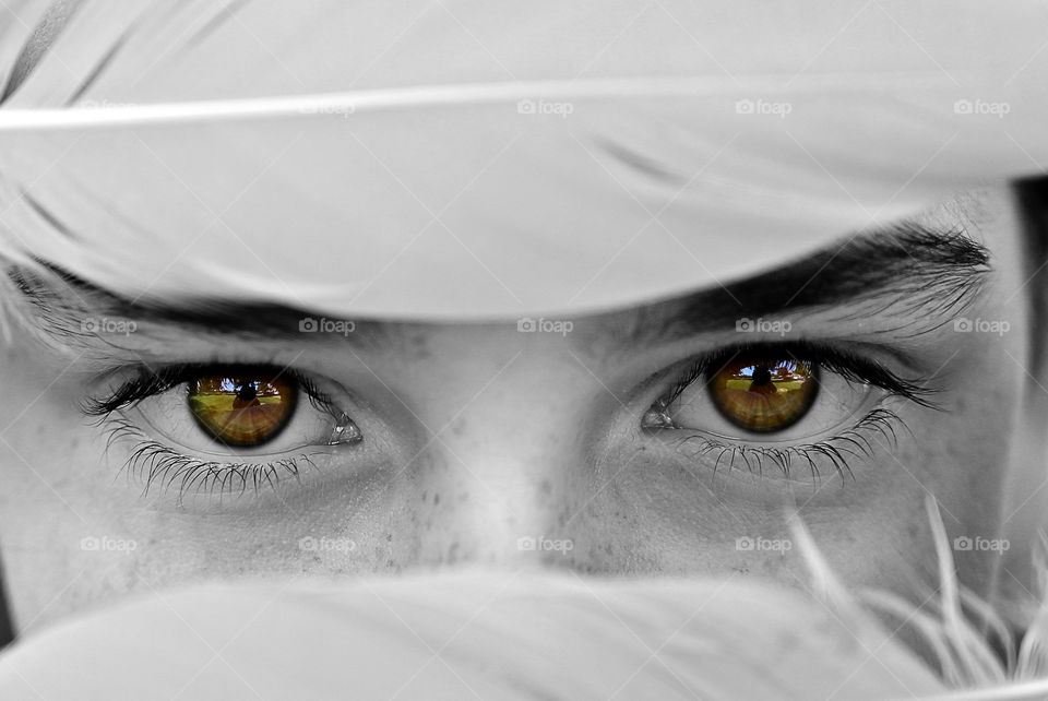 A staring eyes of a young girl covering the rest of her face with the feathers to unrecognized her. 