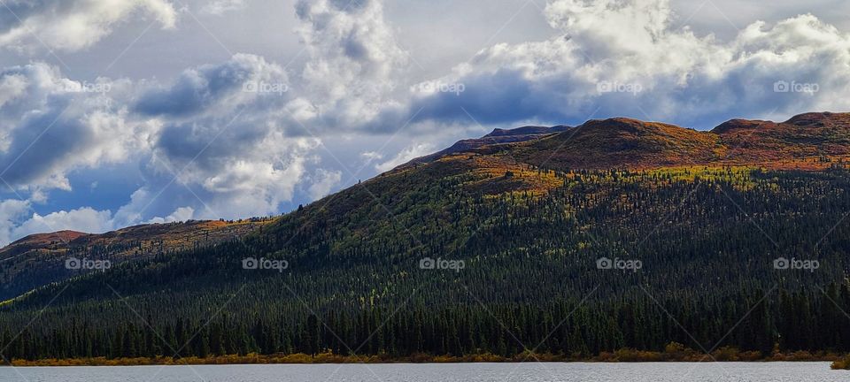 Golden yellow hillsides over the lake