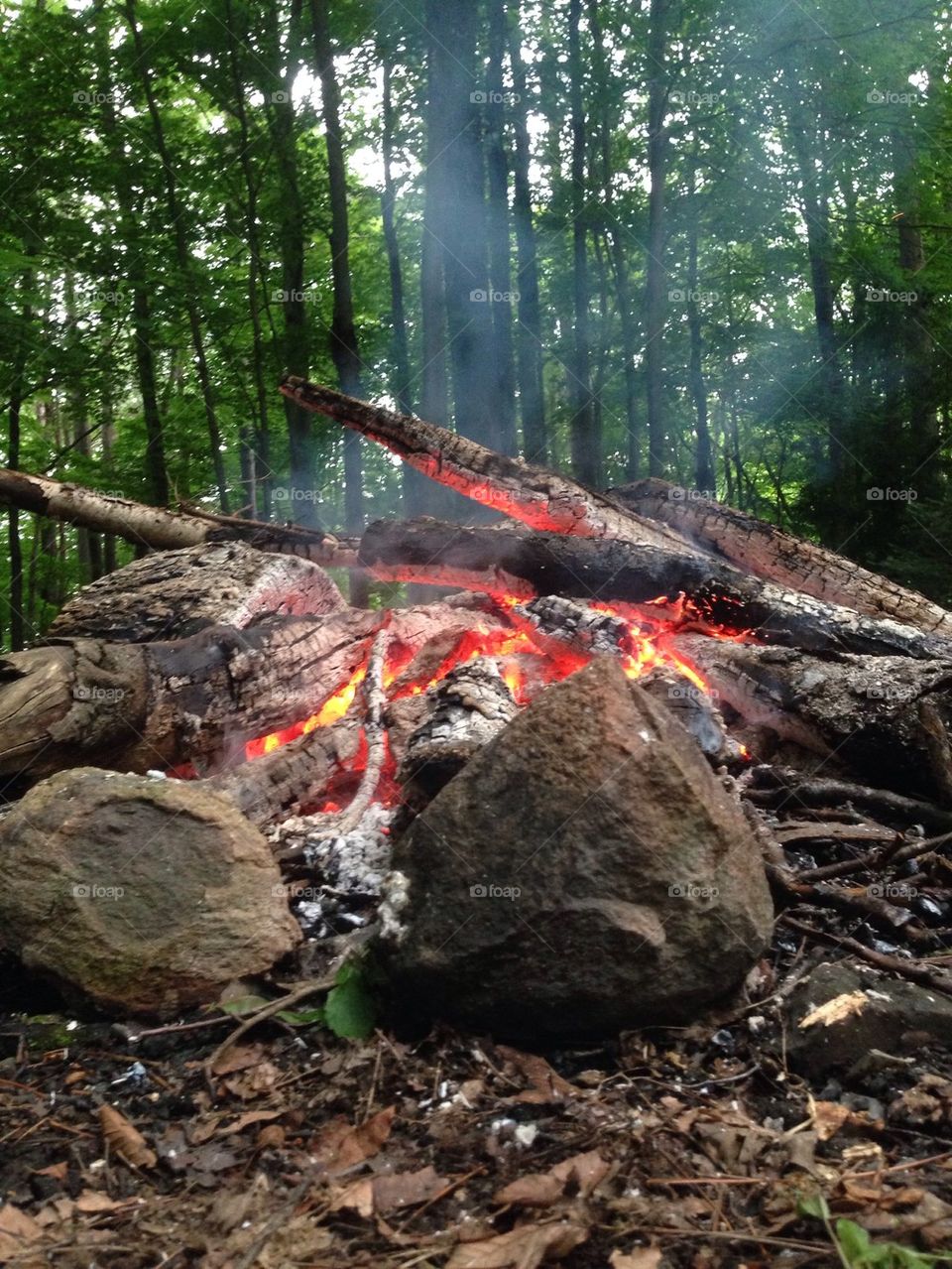 Campfire in forest