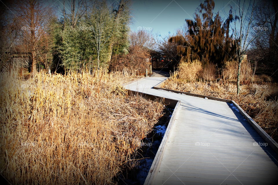 This is a walkway on a sunny day in the winter through some dead grass.