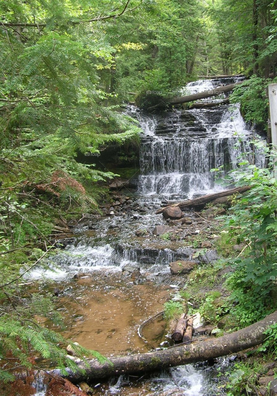 Waterfall in the forest. Photo taken in upper peninsula in MI.  Waterfall and rushing water with lush green trees and vegetation.