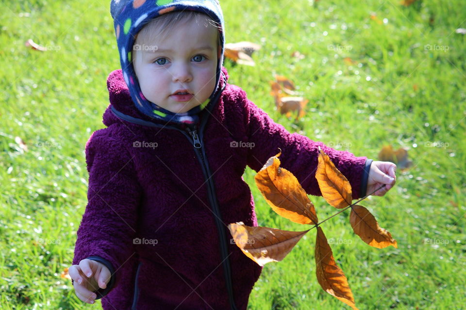 A walk on a brisk autumn morning