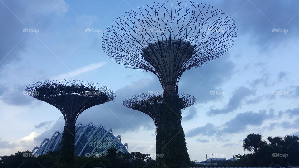 Garden by The Bay, Singapore