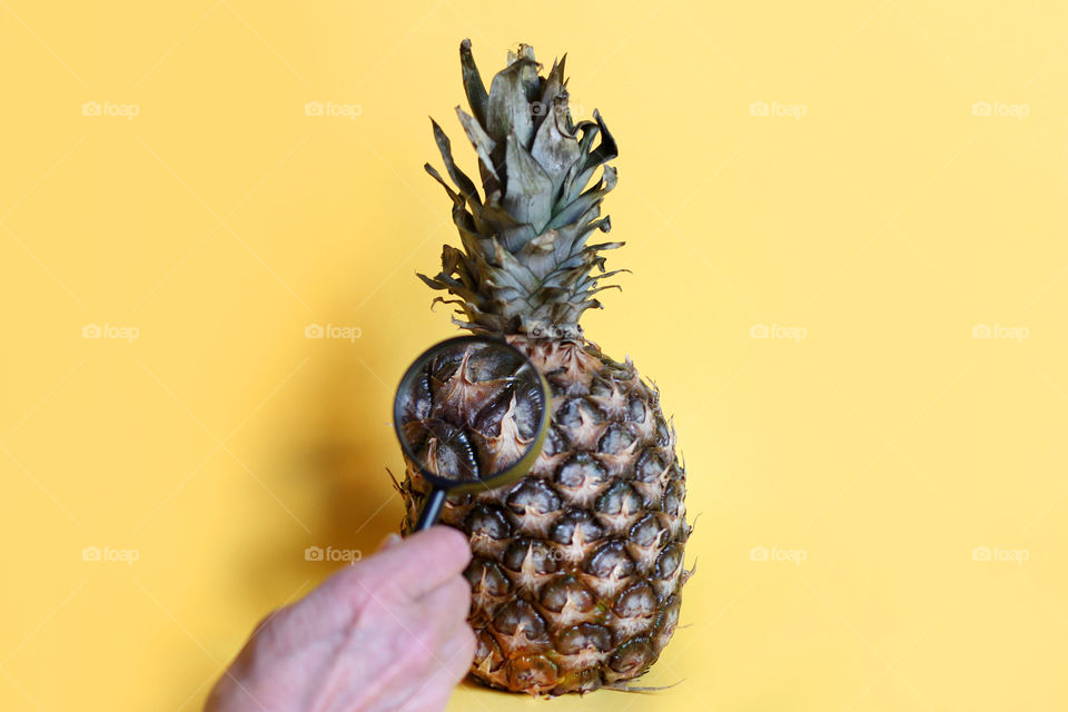 Searching for secrets of pineapple