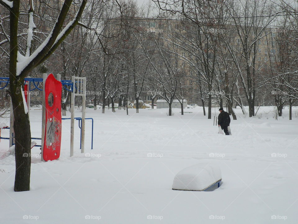 winter landscape in the city of Kiev