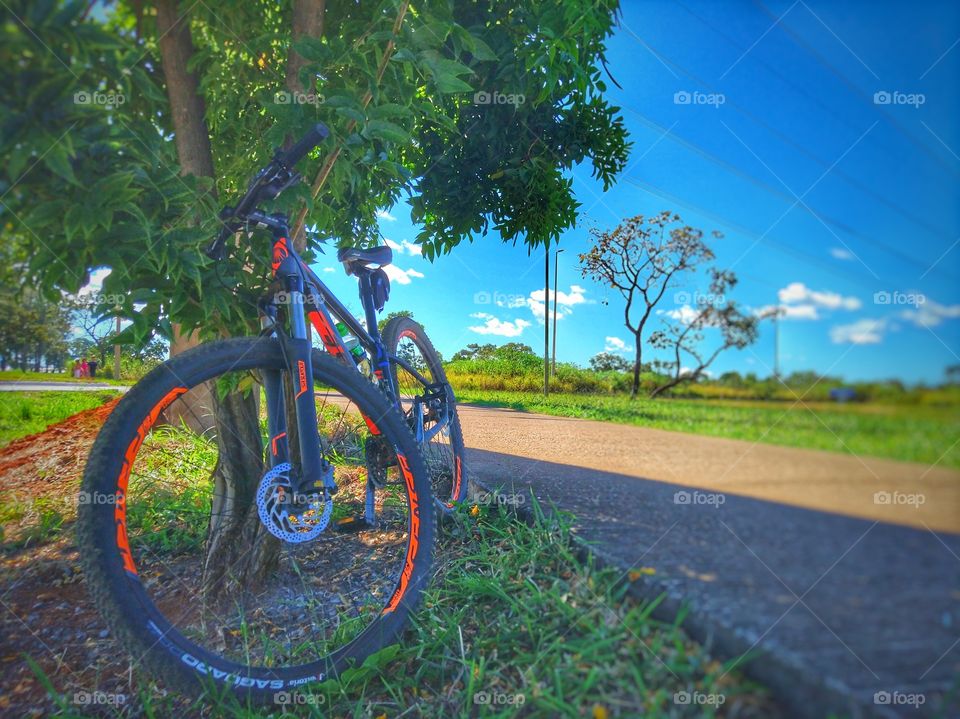 pedal bike bicicleta