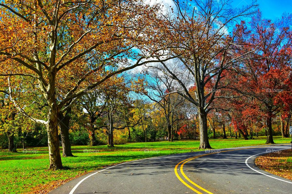 Fall's Colorful Winding Road