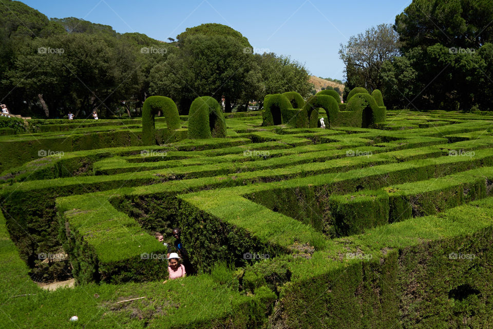 Laberinto de Horta