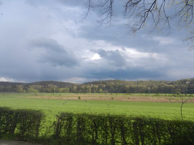 Roadview Hills.